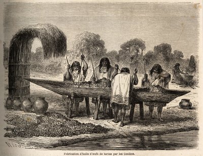 The manufacture of turtle egg oil by Edouard Riou