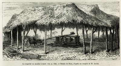 The Trapiche or Sugar Mill in Panche (Colombia) (drawing by Riou, to illustrate the story of Equinoxiale America by Ed. Andre, 1875-1876) by Edouard Riou