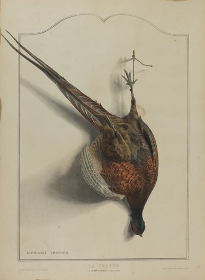 The Hunt: The Common Pheasant by Edouard Travies