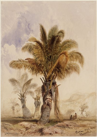 Coconut Palms in Bahia by Eduard Hildebrandt
