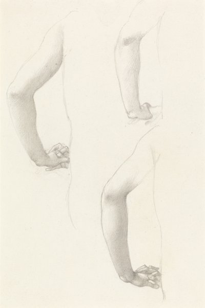 Studies of an Arm and Hands by Edward Burne-Jones