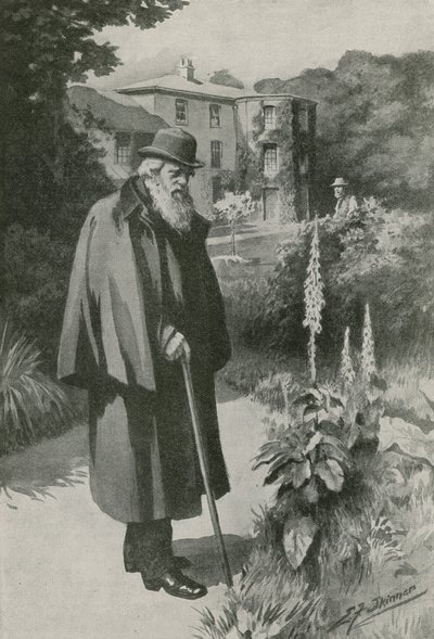 Charles Darwin in His Garden at Down House (litho) by Edward Frederick Skinner