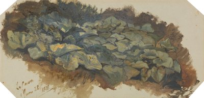The Cave by Edward Lear