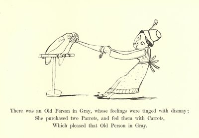 There Was an Old Person in Gray, Whose Feelings Were Tinged with Dismay by Edward Lear