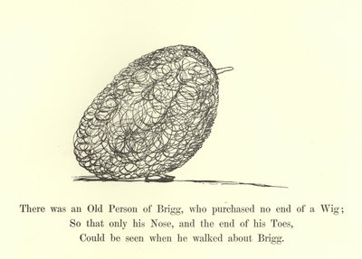 There was an Old Person of Brigg, who Purchased No End of a Wig by Edward Lear