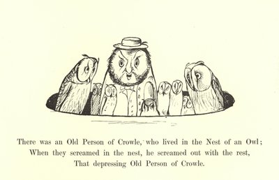 There Was an Old Person of Crowle, Who Lived in the Nest of an Owl by Edward Lear