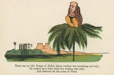 There was an Old Person of Philae, Whose Conduct was Scroobious and Wily, from 