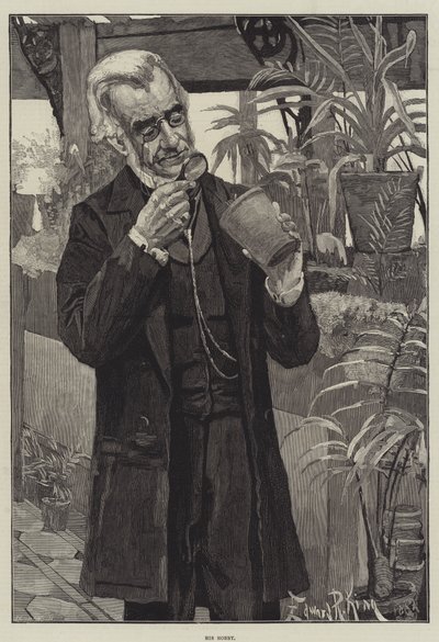 His Hobby by Edward R. King