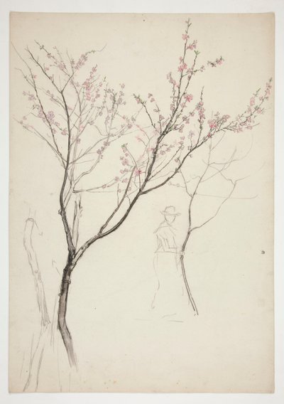 Study of a Figure Beneath a Flowering Tree by Edwin Austin Abbey
