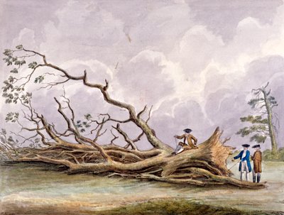 Trees Damaged by a Storm of 15th October, Roehampton, London, 1780 by Edwin Edwards