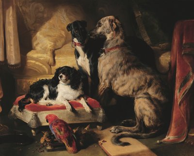 Hector, Nero, and Dash with the Parrot, Lory by Edwin Landseer