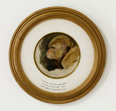 Study for the Monkey in 