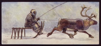 A Lapp and Reindeer Sledge by Edwin Noble