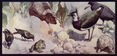 Foes of the Worm and Slug by Edwin Noble