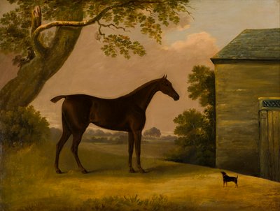 Bay Hunter and a terrier outside a stable by Edwin W. Cooper