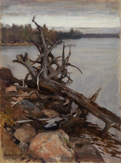 Dead Pine in the Water by Eero Järnefelt