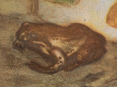 Frog with marsh marigold by Eero Järnefelt