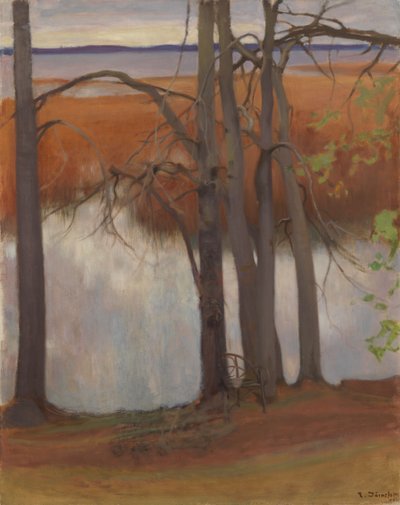 Lake Shore with Reeds by Eero Järnefelt