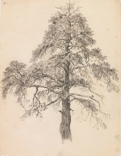 Pine Top by Eero Järnefelt