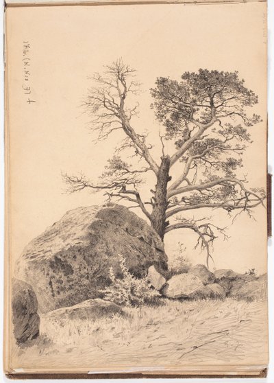 Untitled by Eero Järnefelt