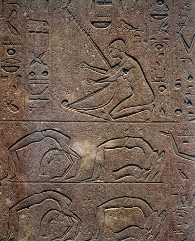 Celebrations with harp player and acrobats, relief, Red Chapel of Hatshepsut, reconstruction exhibited at the Museum of Karnak, Egyptian Civilization, New Kingdom, Dynasty XVIII by Egyptian 18th Dynasty