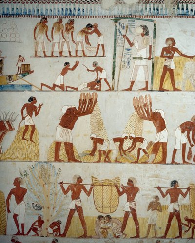 Harvesting Crop, Threshing and Winnowing of Grain (detail) by Egyptian 18th Dynasty