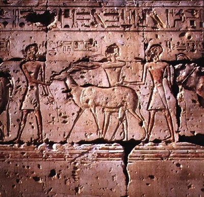 Relief Depicting Oryx Being Led in Procession for Sacrifice, from the Temple of Ramesses II by Egyptian 19th Dynasty