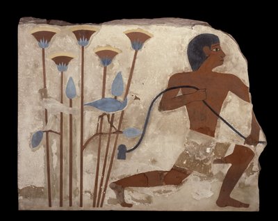 Bird Snaring, relief from the Tomb of Nefermaat, Old Kingdom, c.2620 BC by Egyptian 4th Dynasty