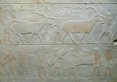 Servants driving an oryx and an antelope and others carrying baggage, from the Mastaba of Akhethotep, Saqqara, Old Kingdom by Egyptian 5th Dynasty