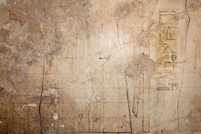 Project for a copy of a grid drawing, Temple of Horus, Edfu by Egyptian Egyptian