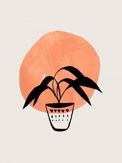 Boho Potted Plant by Ejaaz Haniff