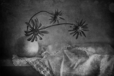 Dark Floral Still Life by Elena Arjona