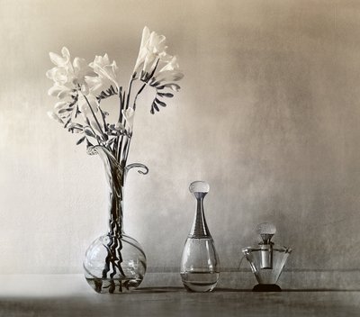 Elegant Flowers and Perfume by Elena Arjona