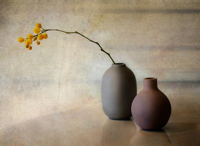 Minimalist Floral Vases by Elena Arjona