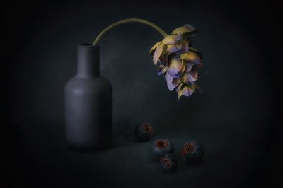 Shadowed Bloom and Berries by Elena Arjona