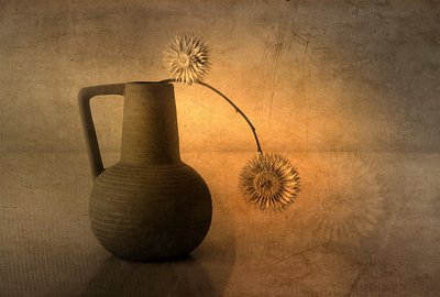 Warm Rustic Thistles by Elena Arjona