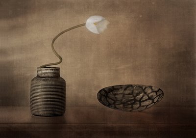 White Bloom Still Life by Elena Arjona