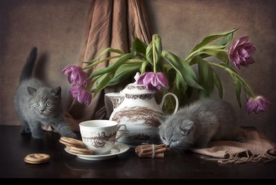 Cozy Kitten Tea Time by Eleonora Grigorjeva