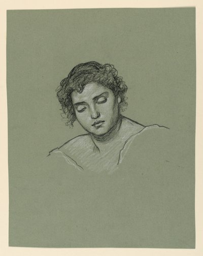 Head of Woman, ca. 1885 by Elihu Vedder