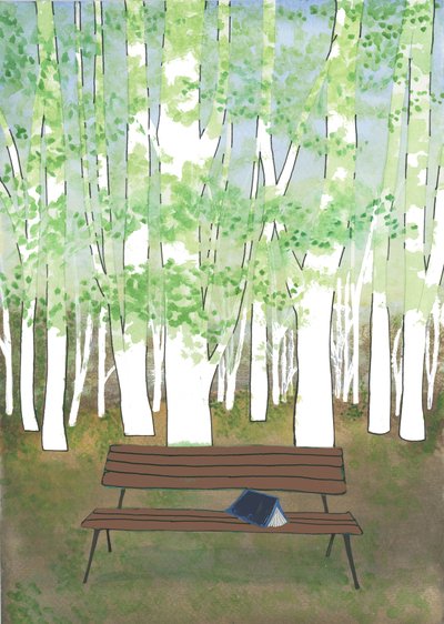 Bench in the Forest by Elizabeth Rider