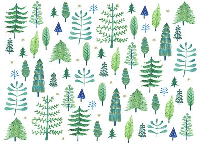 Enchanted Forest, 2017 by Elizabeth Rider
