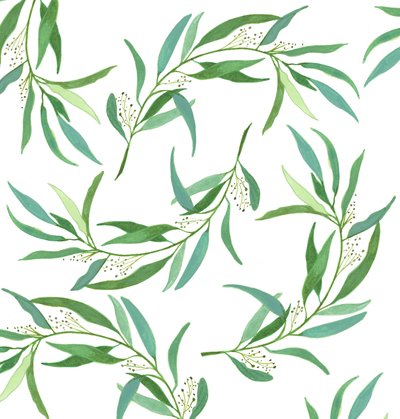 Eucalyptus Leaves by Elizabeth Rider