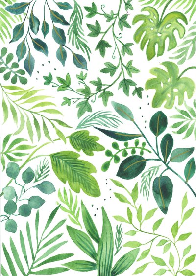 Leafy Medley, 2018 by Elizabeth Rider
