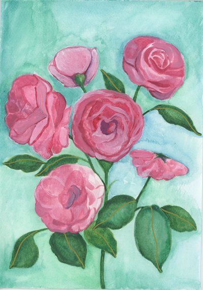 Pink Roses, 2017 by Elizabeth Rider