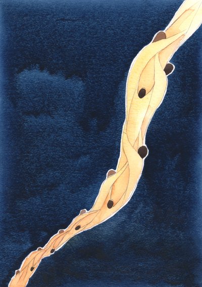 Our intercessions for the Holy Souls in Purgatory, in the name of Jesus, are like a rope that draws them towards heaven by Elizabeth Wang