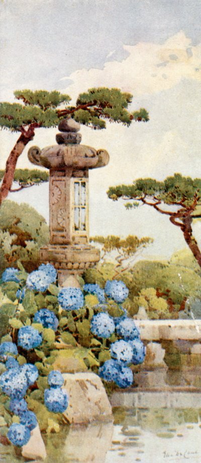 An Hydrangea Bush by Ella Du Cane