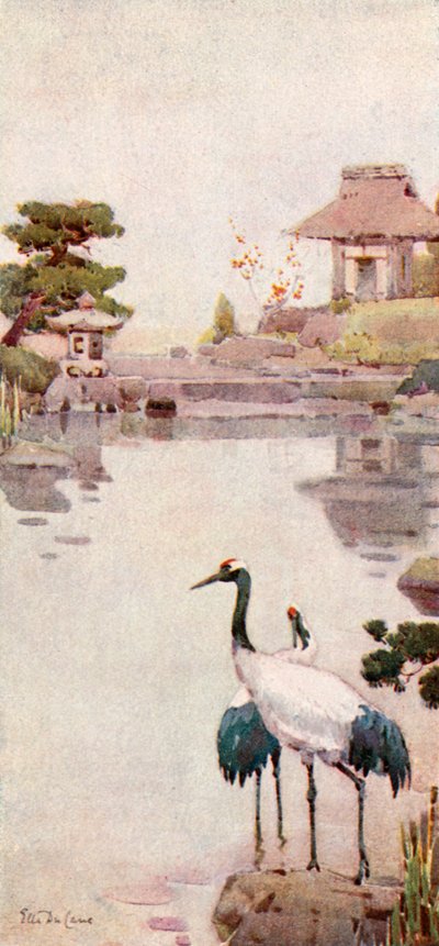 The Storks by Ella Du Cane