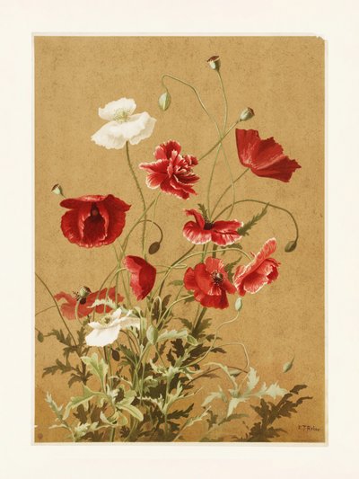 Poppies No. 3 by Ellen Thayer Fisher