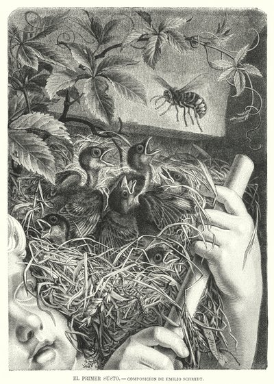 The First Scare by Emil (after) Schmidt