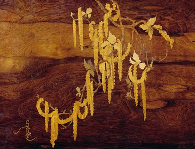 Inlaid with vegetal motif (detail) by Emile Galle